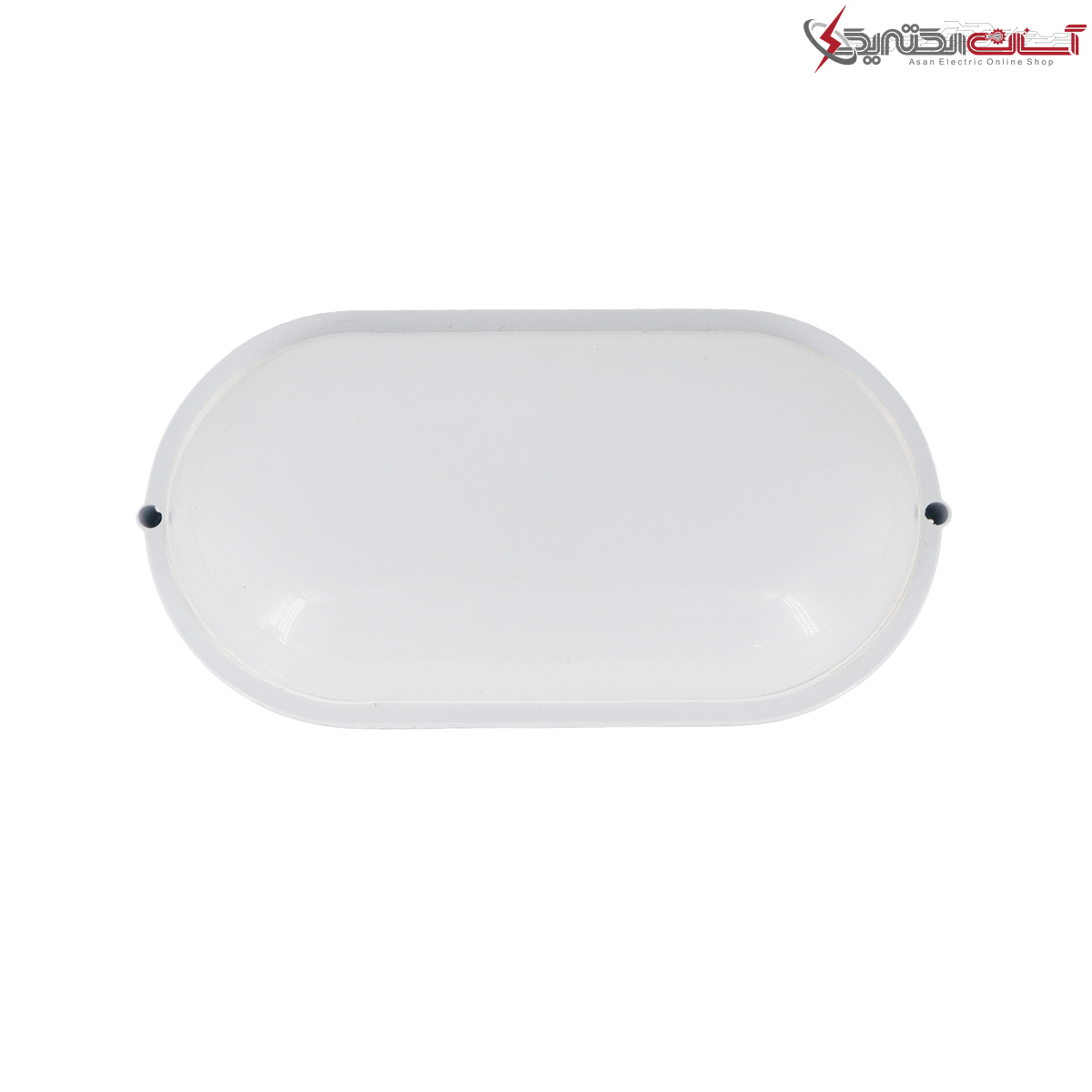 چراغ دیواری 25 وات ضد آب رسانور مدل رایکا IP65