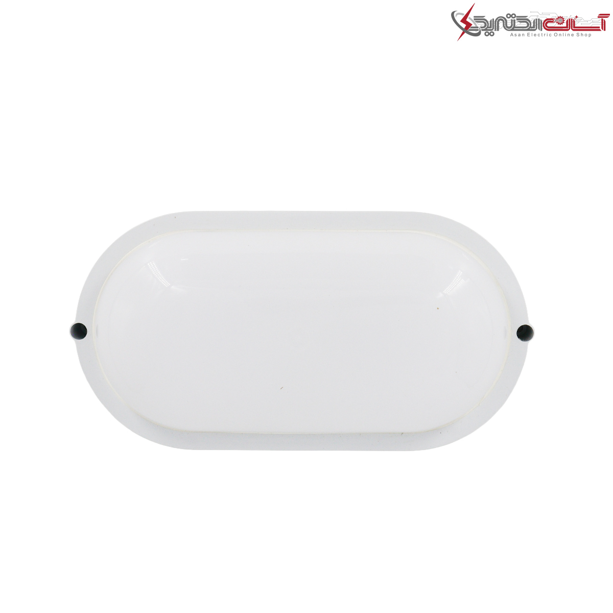 چراغ دیواری 20 وات ضد آب رسانور مدل رایکا IP65